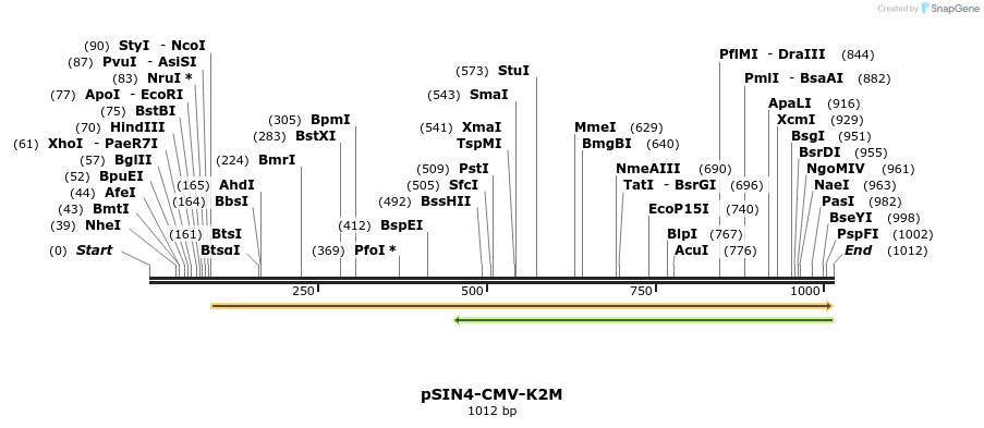 91963_map