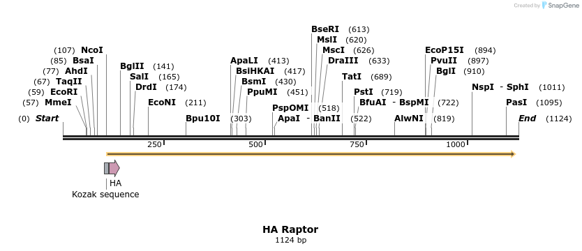 91966_map