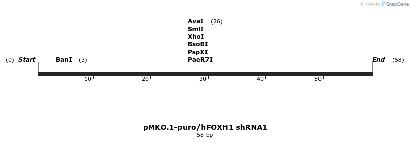 91967_map