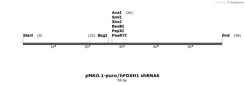 91970_map