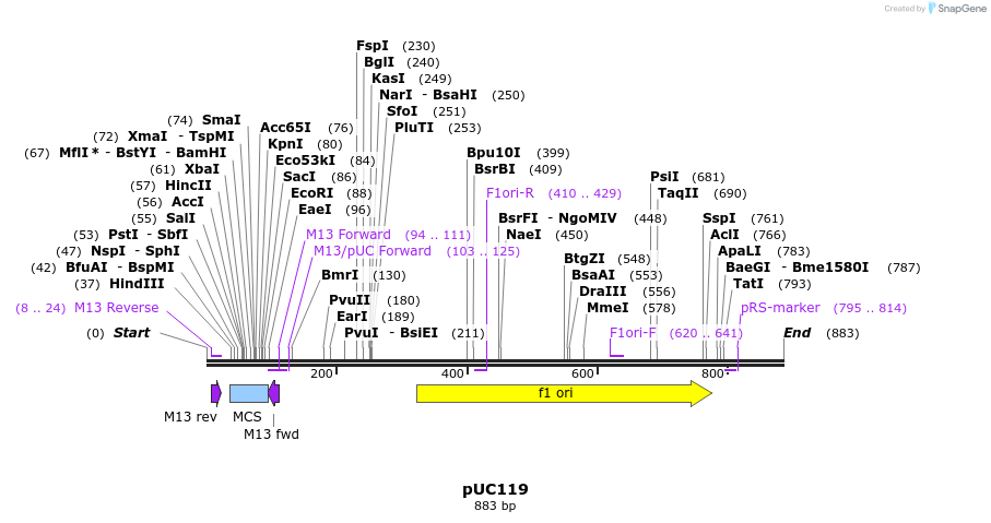 91971_map