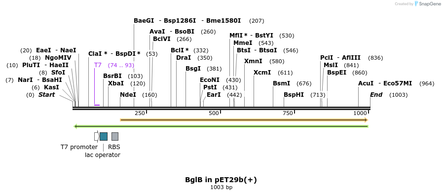 91978_map