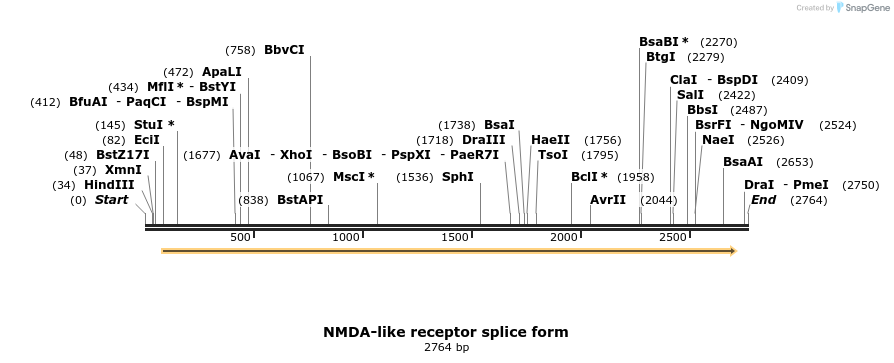 9198_map
