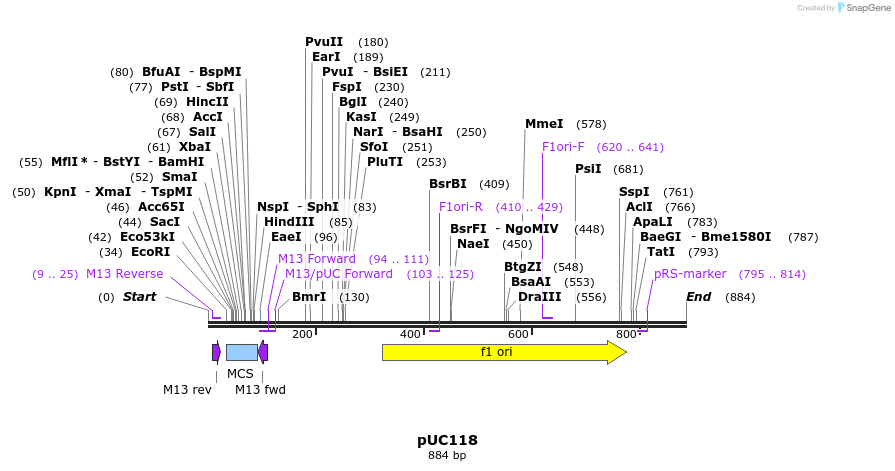 91983_map