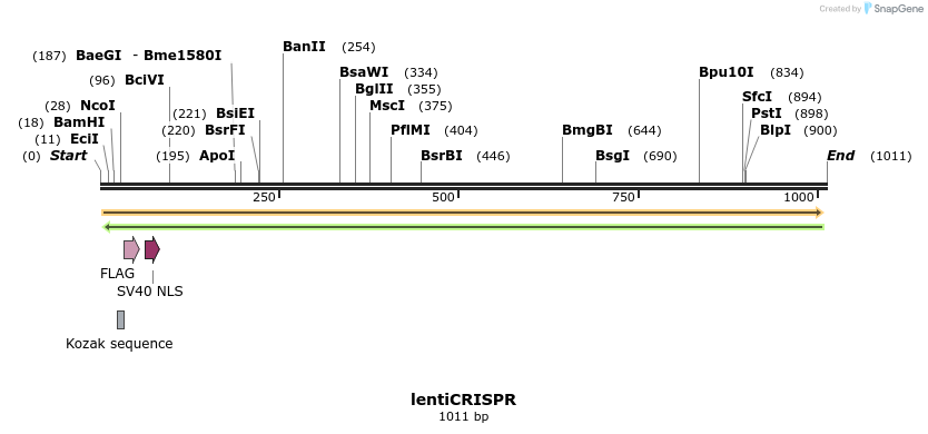 91984_map