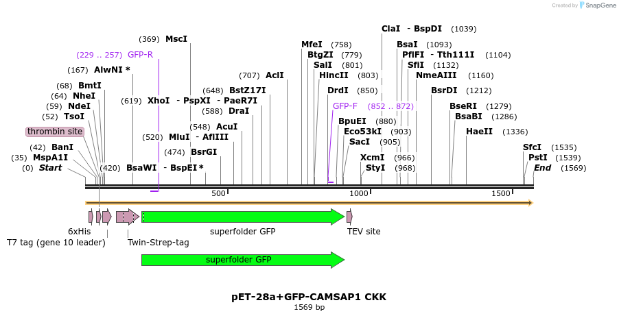 91995_map