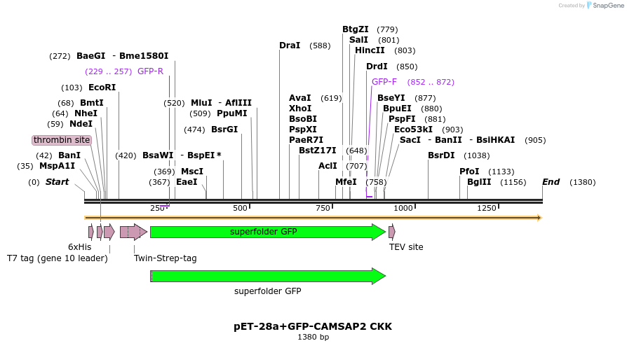 91996_map