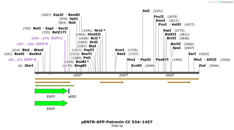 92016_map