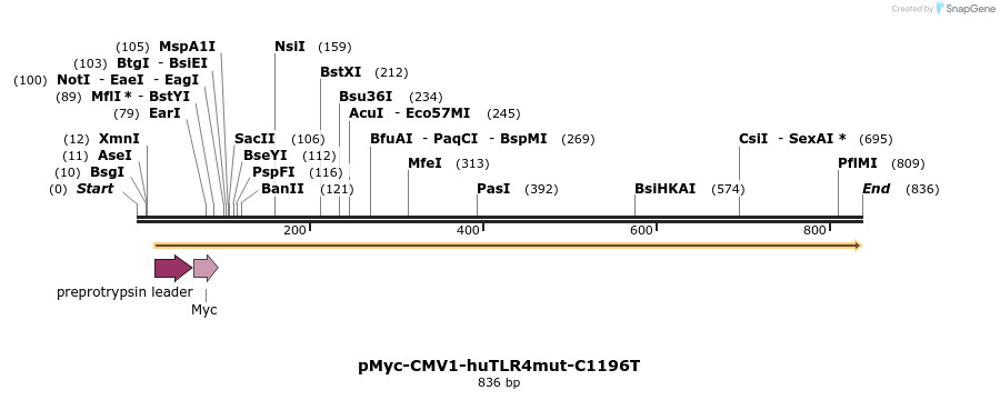 92046_map