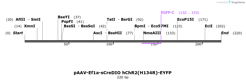92049_map