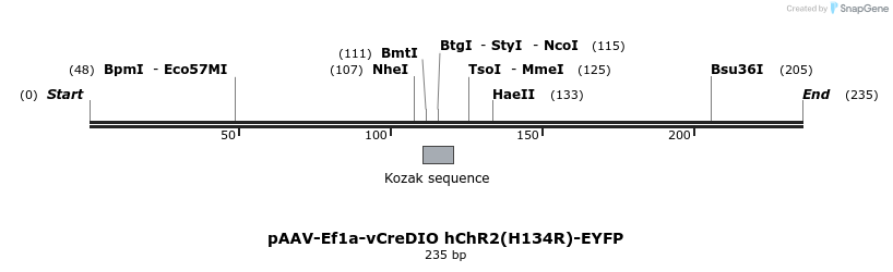 92051_map