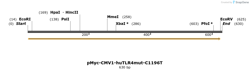 92053_map