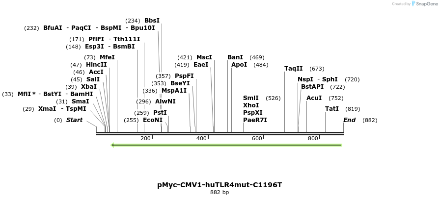 92056_map