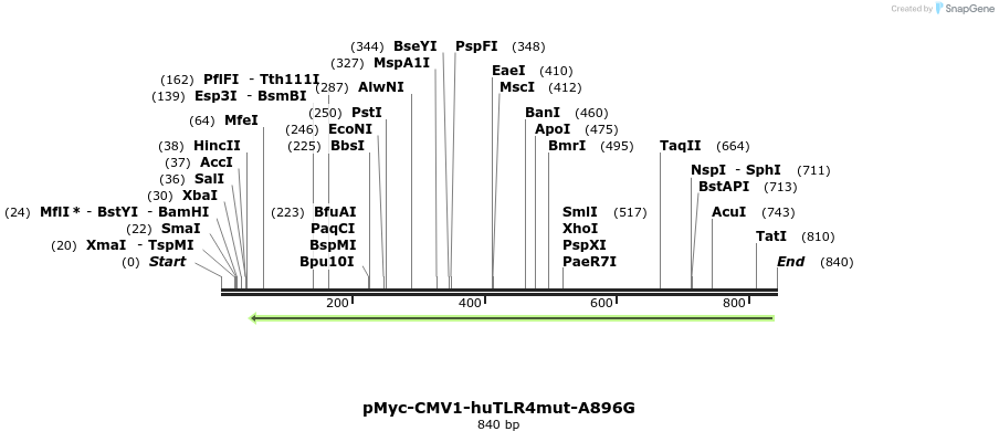 92059_map