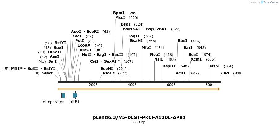 92062_map