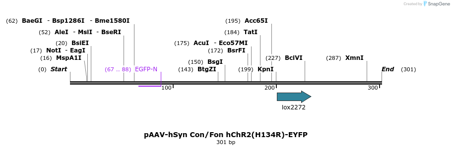 92065_map