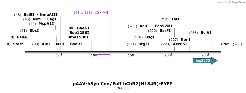 92071_map