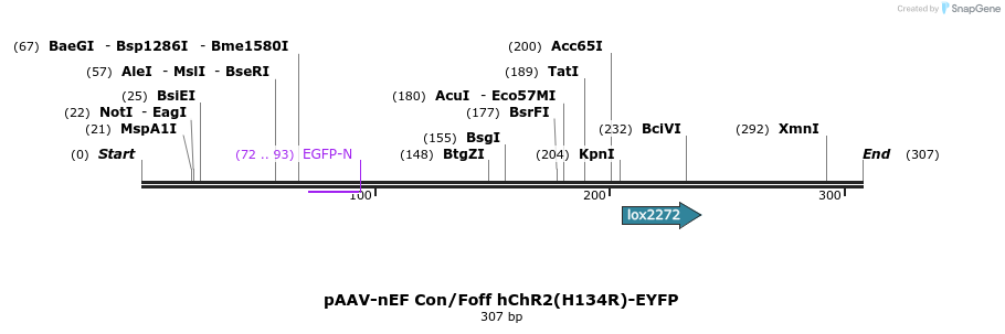 92072_map