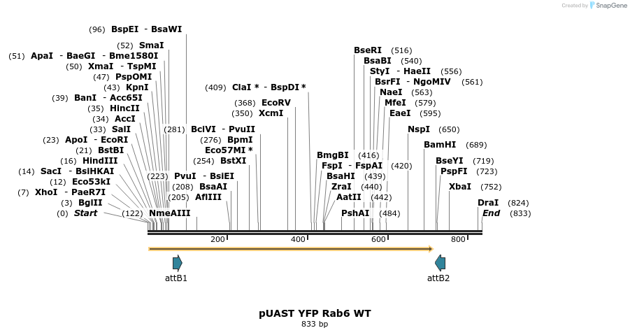92079_map