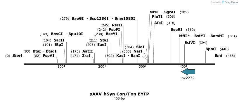 92080_map