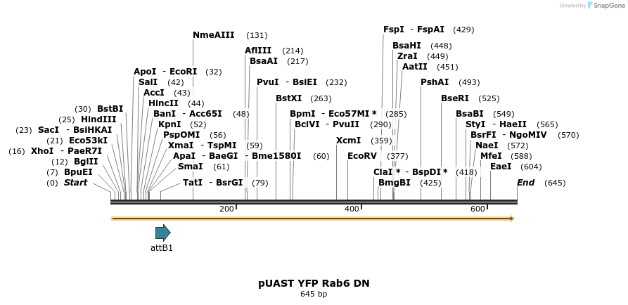 92082_map