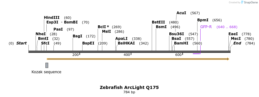 92091_map