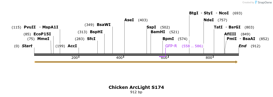 92099_map