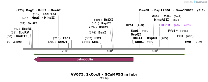 92101_map