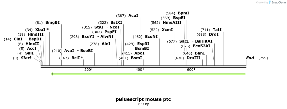 92110_map