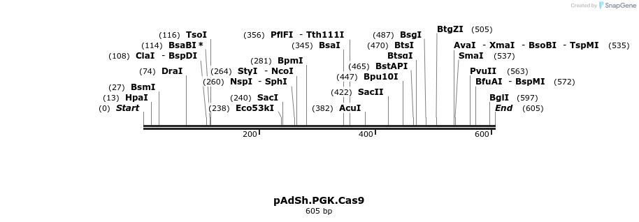 92116_map