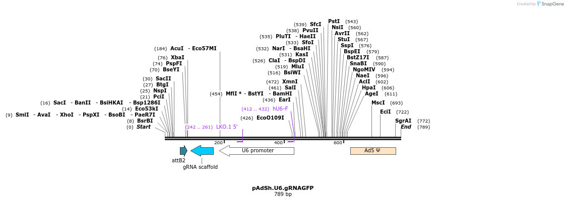 92119_map