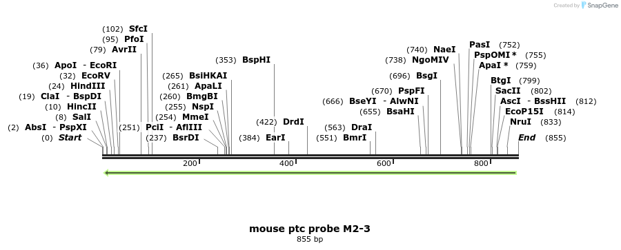 92125_map
