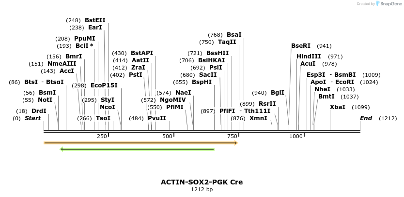 92130_map