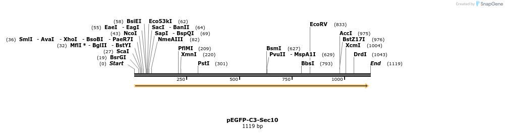 92131_map