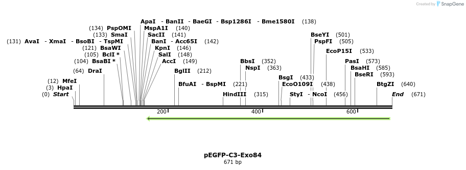 92132_map