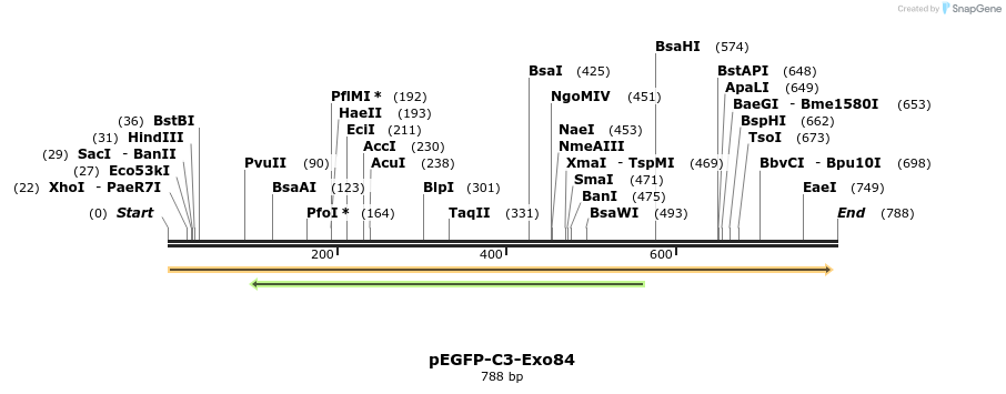 92133_map