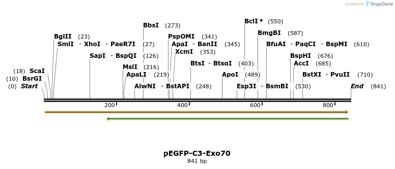 92135_map