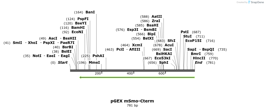 92137_map