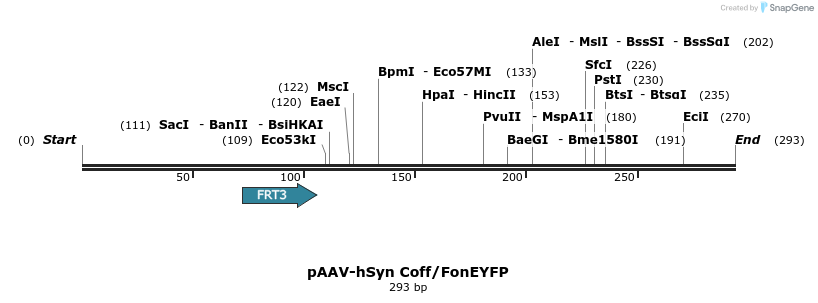 92140_map