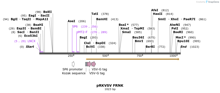 92143_map