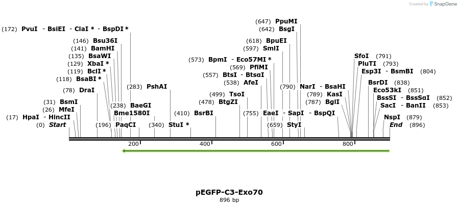 92146_map