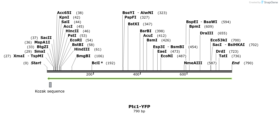 92148_map