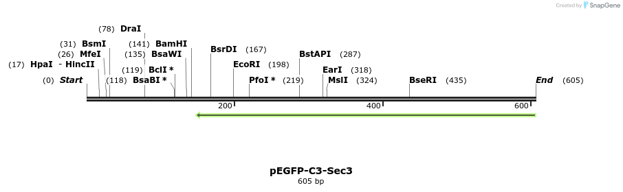 92151_map