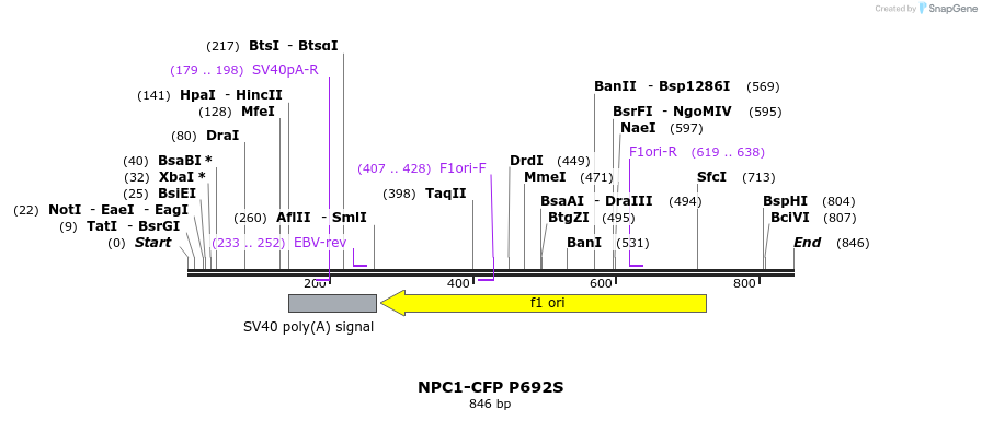 92153_map