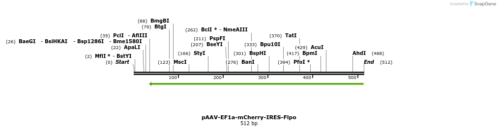 92156_map
