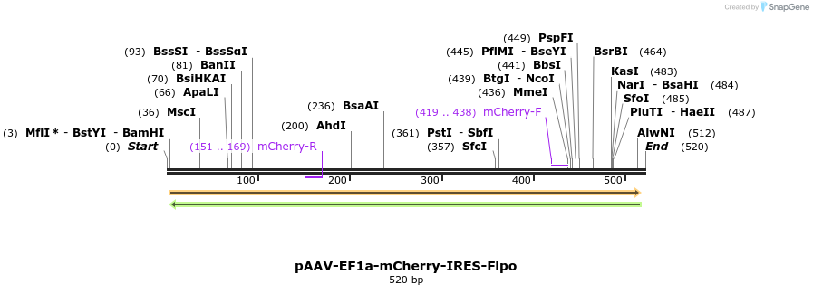 92159_map