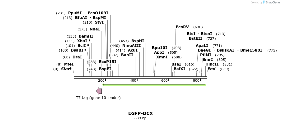 92169_map