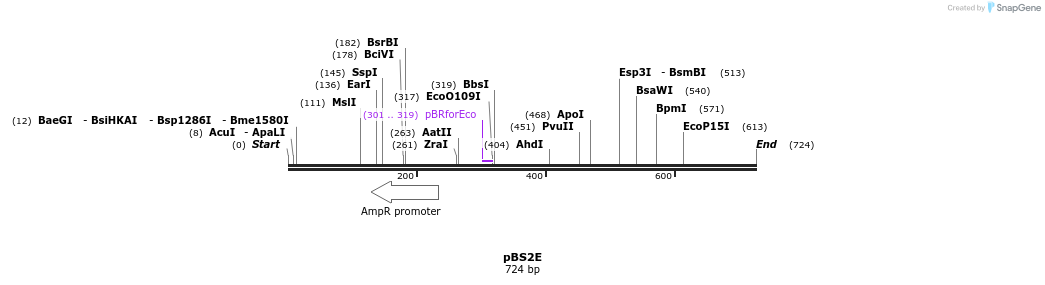 92173_map