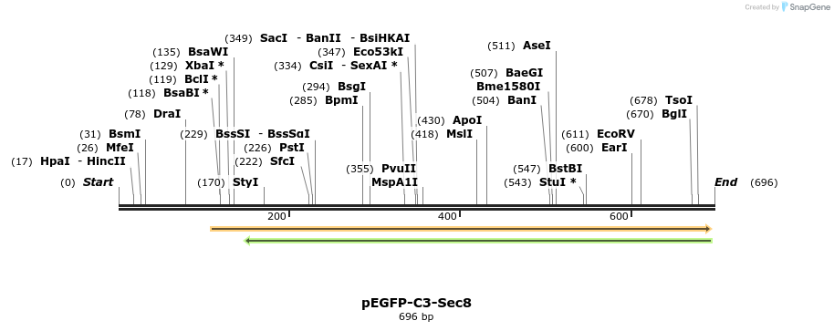 92174_map