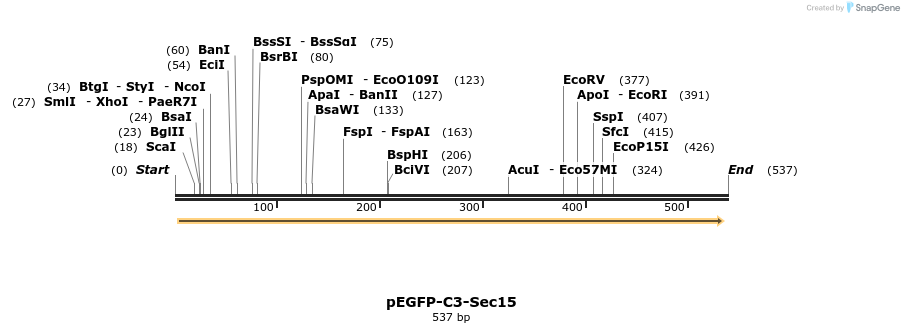 92176_map